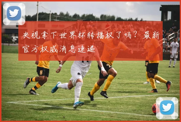 央视拿下世界杯转播权了吗?最新官方权威消息速递