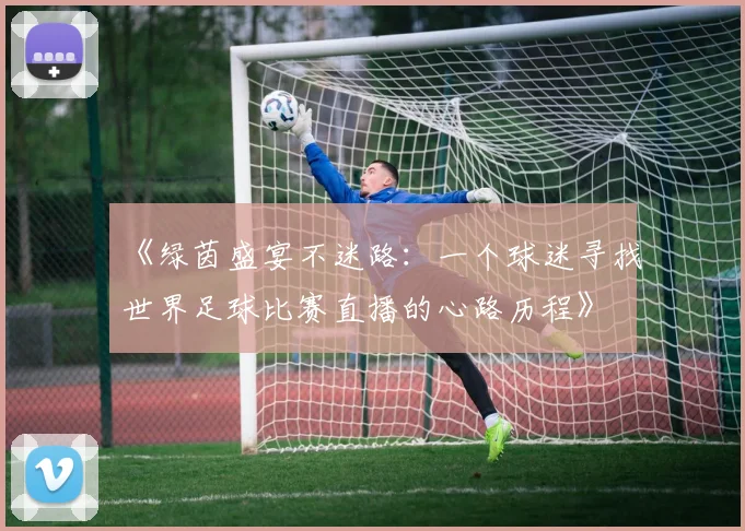 《绿茵盛宴不迷路：一个球迷寻找世界足球比赛直播的心路历程》