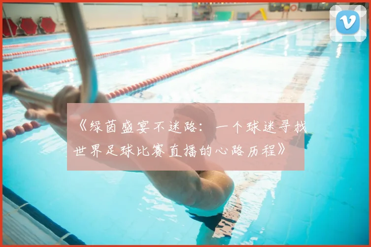 《绿茵盛宴不迷路：一个球迷寻找世界足球比赛直播的心路历程》