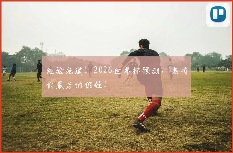 经验老道！2026世界杯预测，老将们最后的倔强！